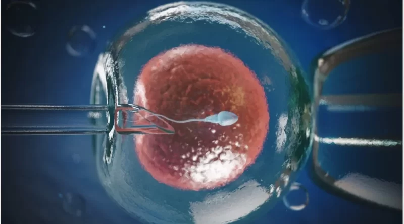 Cryopreservation for In-Vitro Fertilization (IVF) Market