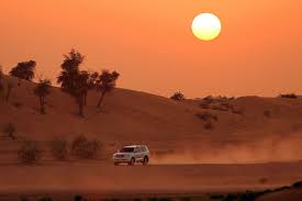 Evening Desert Safari