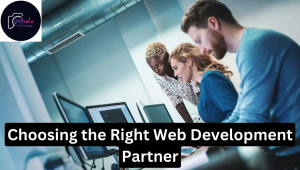 Choosing the Right Web Development Partner