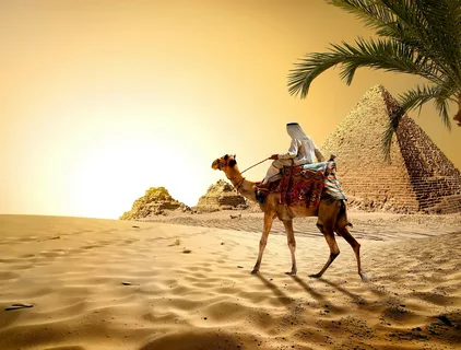 Unveiling the Magic of Dubai's Desert: A Comprehensive Guide to Desert Safari Adventures