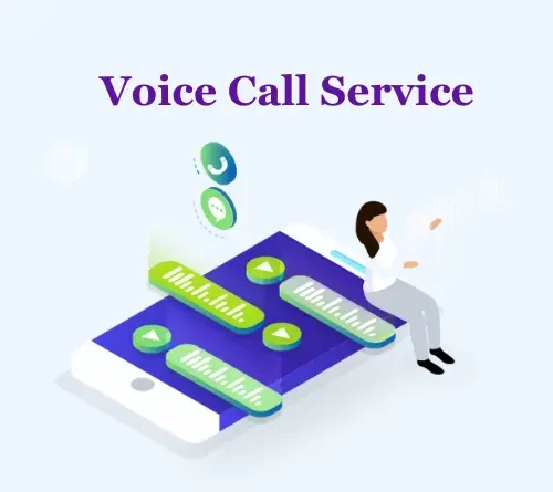 bulk voice call service provider