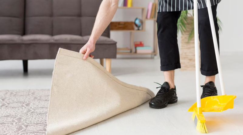 Quick and Clean: The Ins and Outs of Dry Carpet Cleaning
