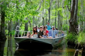 Plantation Swamp Tour