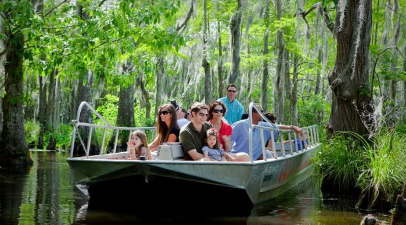 Plantation Swamp Tour