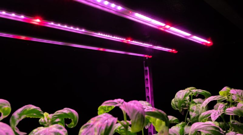 LED Grow Lights