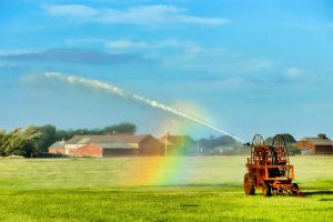 native hydroseeding​