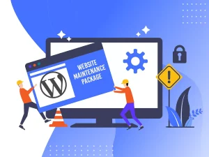 Website Maintenance Package